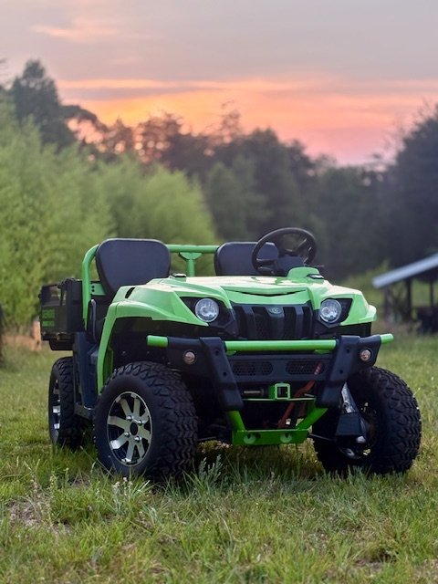 Electric Work UTV